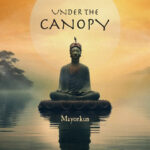 Mayorkun - Under The Canopy
